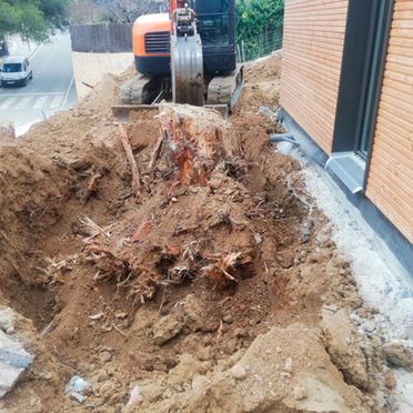 Excavaciones y Transportes EXMO 2019 retirada de un árbol 